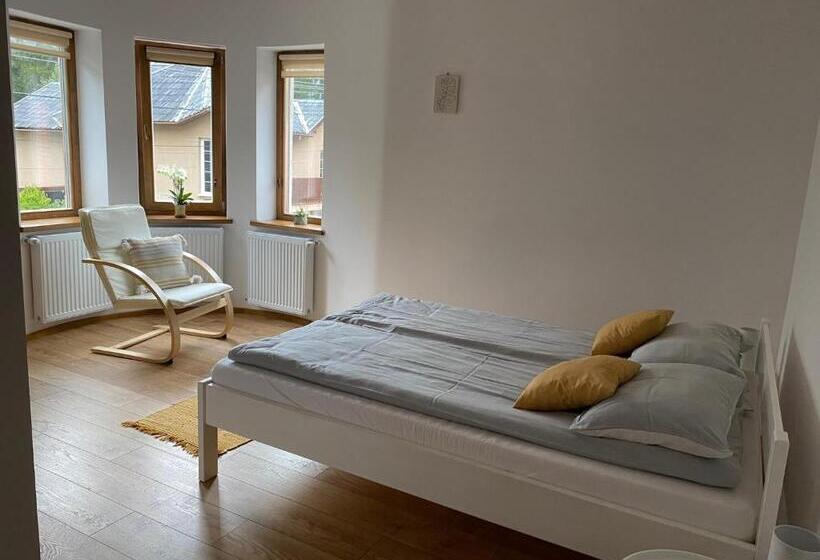 هتل Pensiunea Violin Panzió