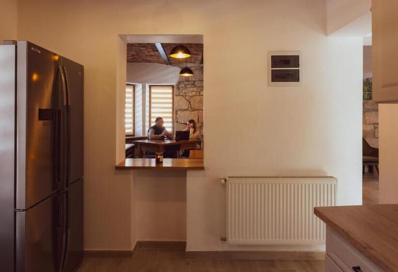 هتل Pensiunea Violin Panzió