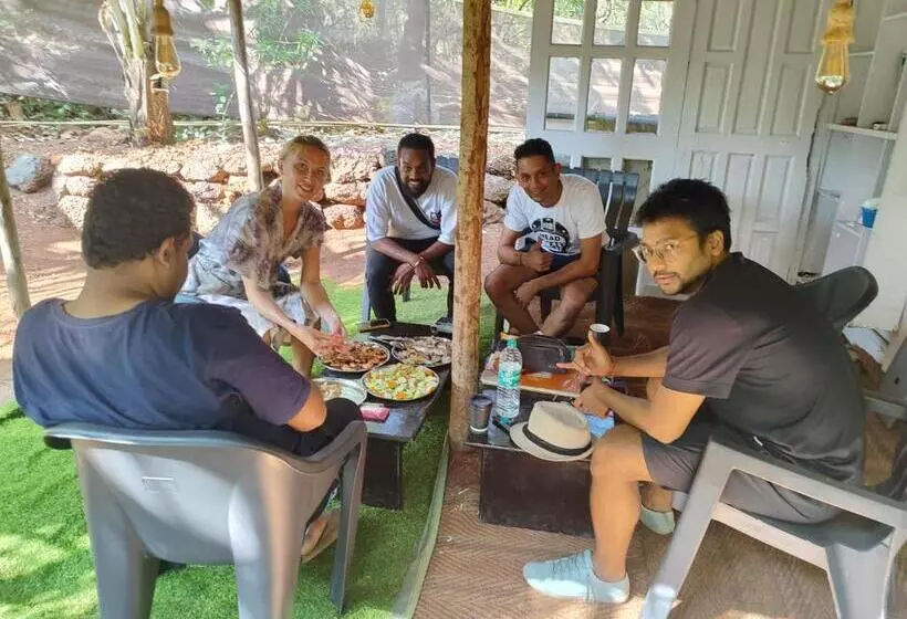 This Is It Jungle Maze Hostel