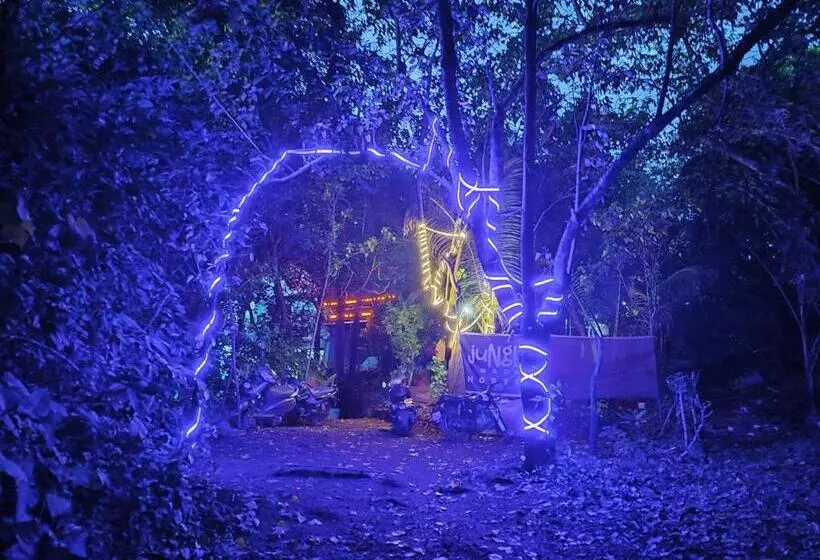 This Is It Jungle Maze Hostel