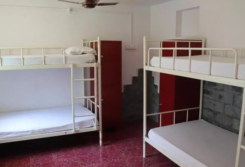 This Is It Jungle Maze Hostel