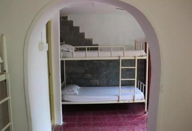 This Is It Jungle Maze Hostel