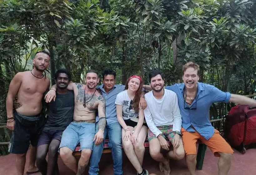 This Is It Jungle Maze Hostel