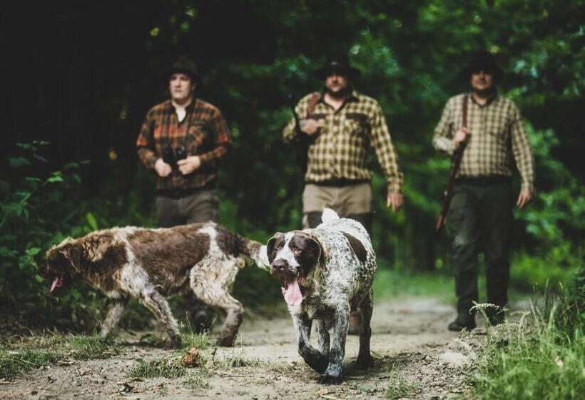 Bed and Breakfast Bakony Kőhegy Vendégház