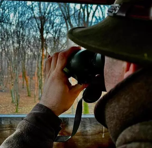 ベッドアンドブレックファースト Bakony Kőhegy Vendégház