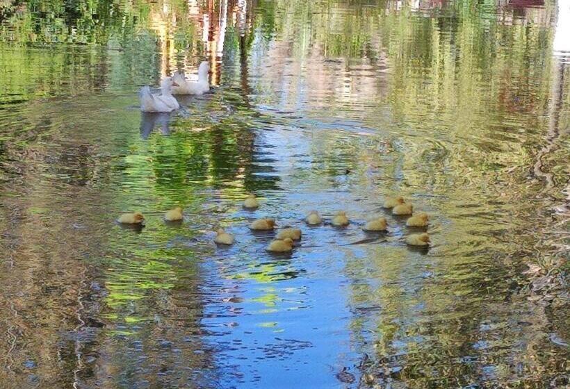 مبيت وإفطار Hostal Doñihue