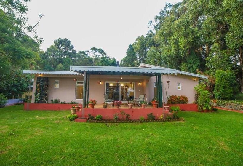 Aamiaismajoitus (B&B) Rayne Forest