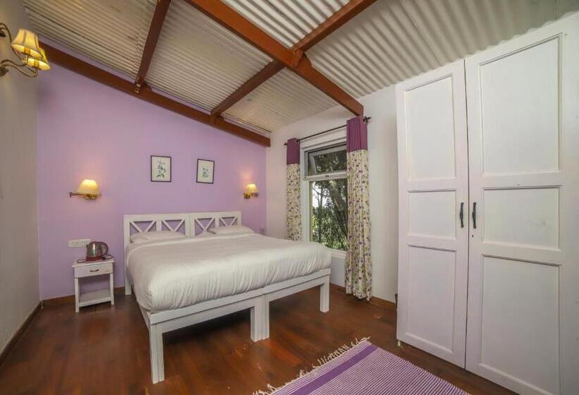 Aamiaismajoitus (B&B) Rayne Forest