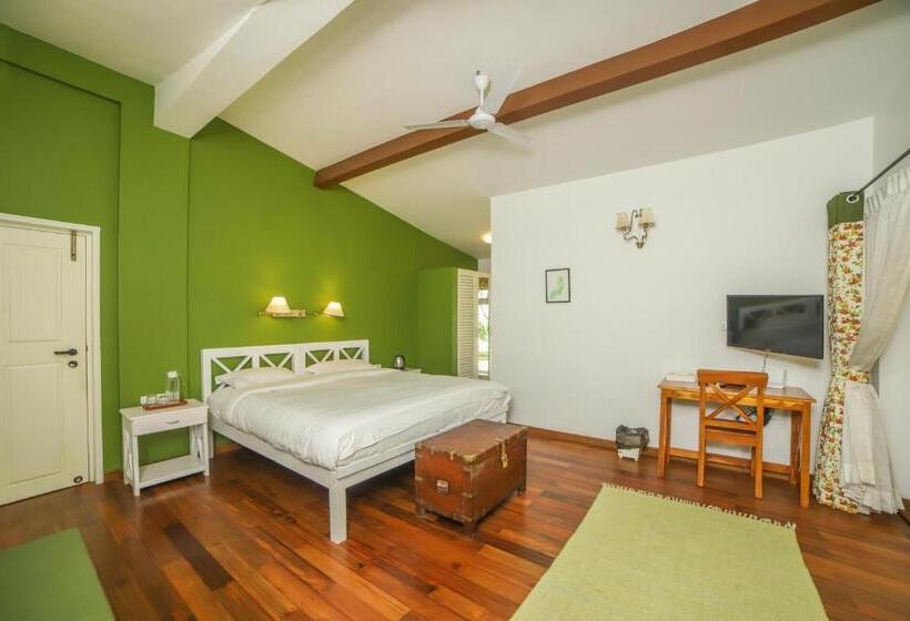 Aamiaismajoitus (B&B) Rayne Forest