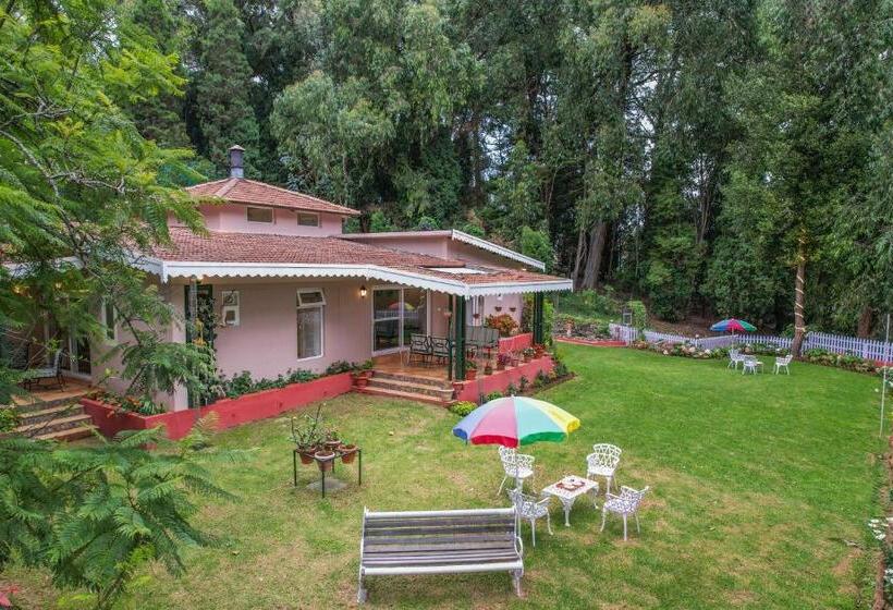 Aamiaismajoitus (B&B) Rayne Forest