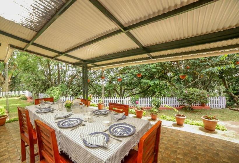 Aamiaismajoitus (B&B) Rayne Forest