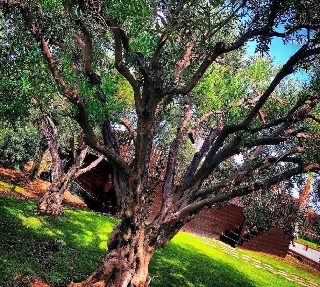 مبيت وإفطار Villa Giudice Luxury Home