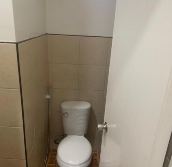 Full Moon Hostel   Beer Pong Central