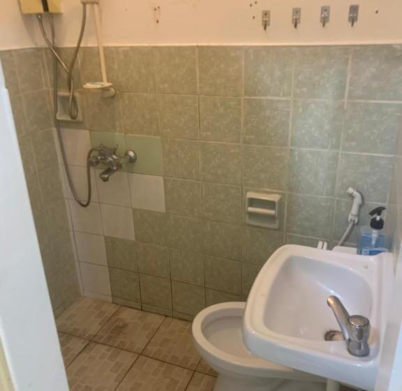 Full Moon Hostel   Beer Pong Central