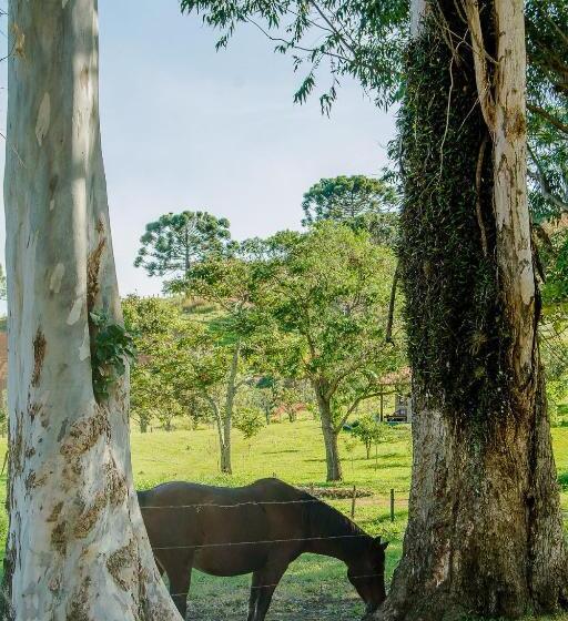 호텔 Estancia Santa Rita
