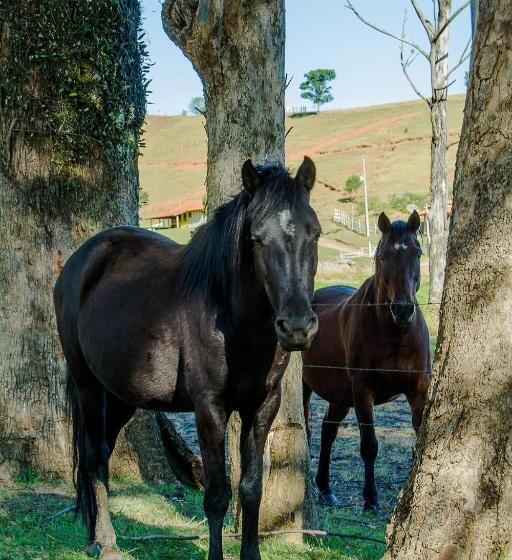 호텔 Estancia Santa Rita