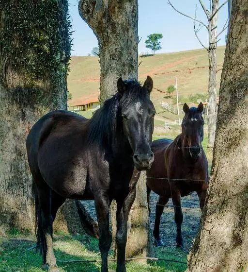 ホテル Estancia Santa Rita