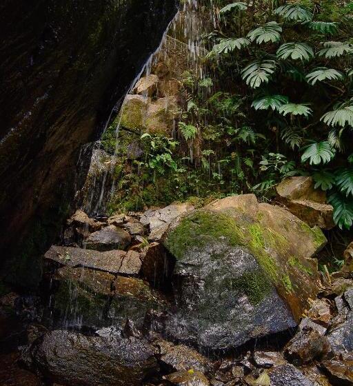 호텔 Estancia Santa Rita