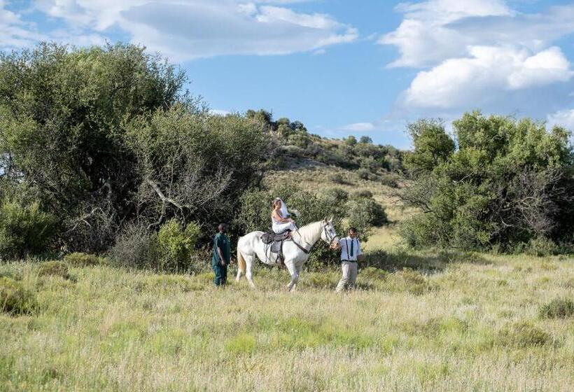 בית מלון כפרי Goshen Guest Farm
