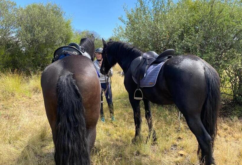 בית מלון כפרי Goshen Guest Farm