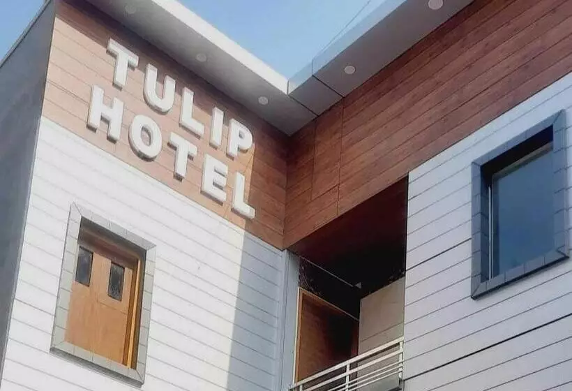 Oyo Hotel Tulip Inn