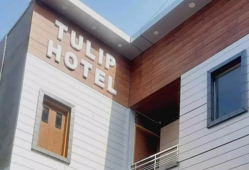 Oyo Hotel Tulip Inn
