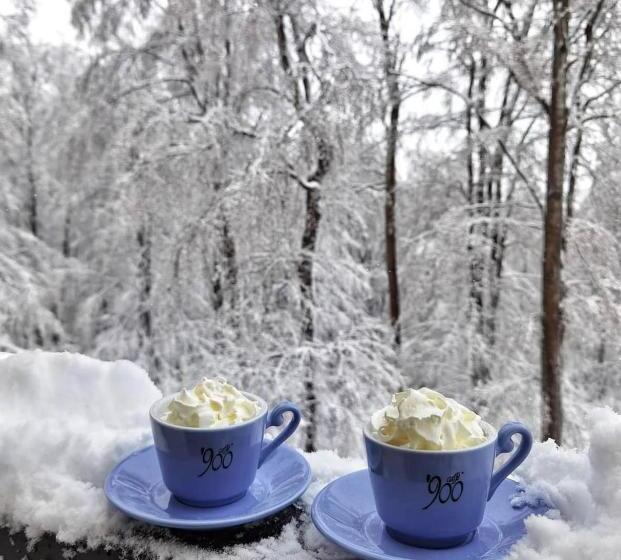 פנסיון Dor De Munte Straja