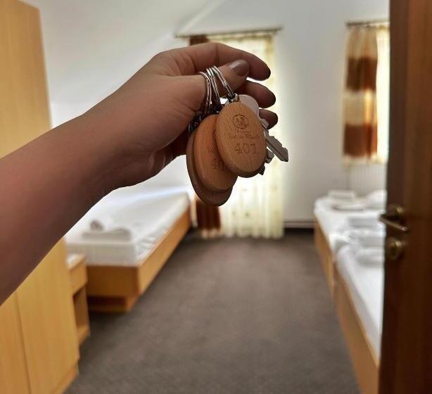 פנסיון Dor De Munte Straja