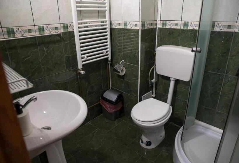 פנסיון Dor De Munte Straja