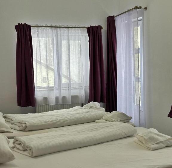 פנסיון Dor De Munte Straja