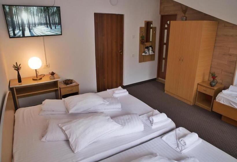 פנסיון Dor De Munte Straja