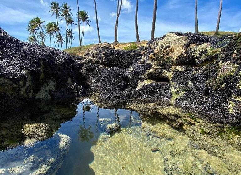 פנסיון Eden Pousada