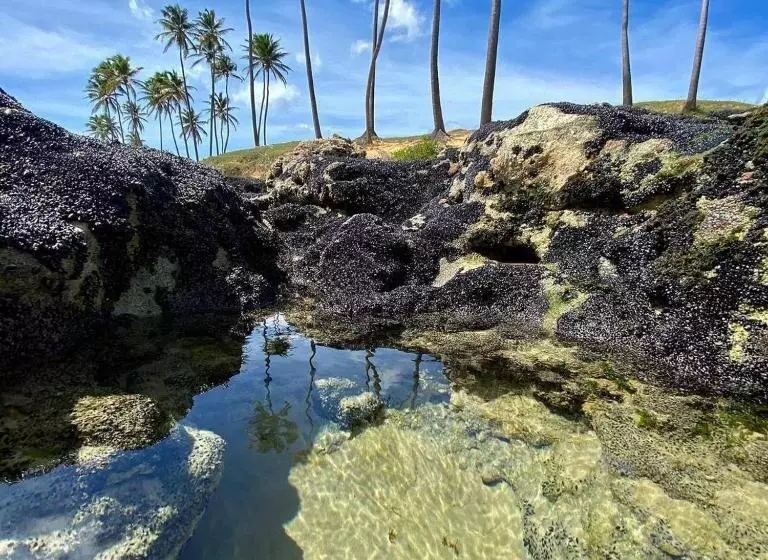 ペンション Eden Pousada