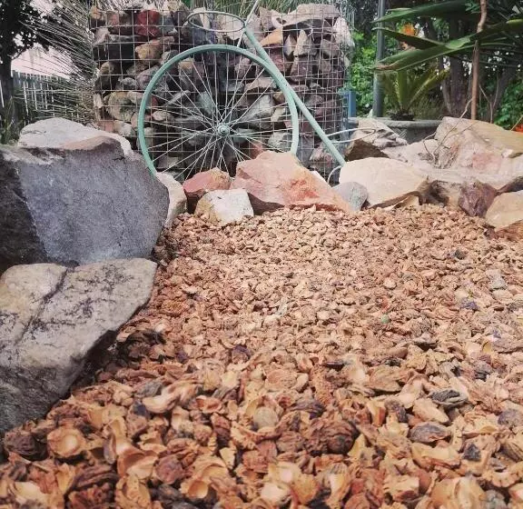 Majatalo Its Practical Holidays