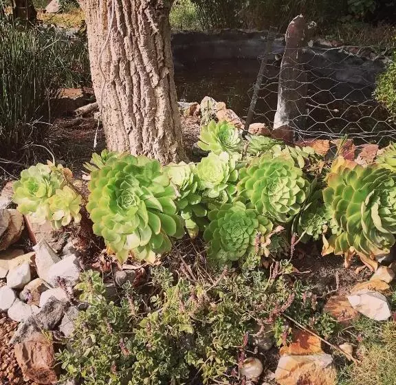 Majatalo Its Practical Holidays