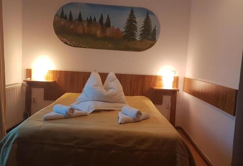 Pensiunea Casa Noastra