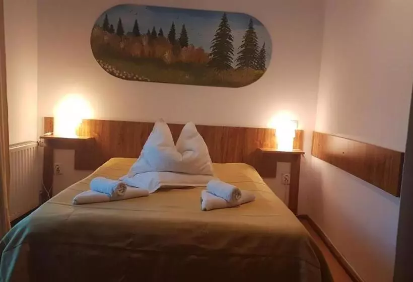 Pensiunea Casa Noastra