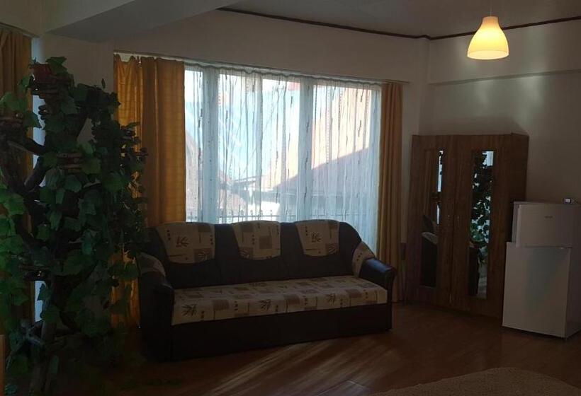 Pensiunea Casa Noastra