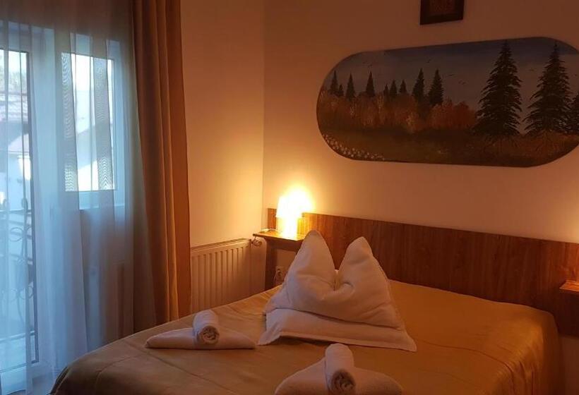 Pensiunea Casa Noastra