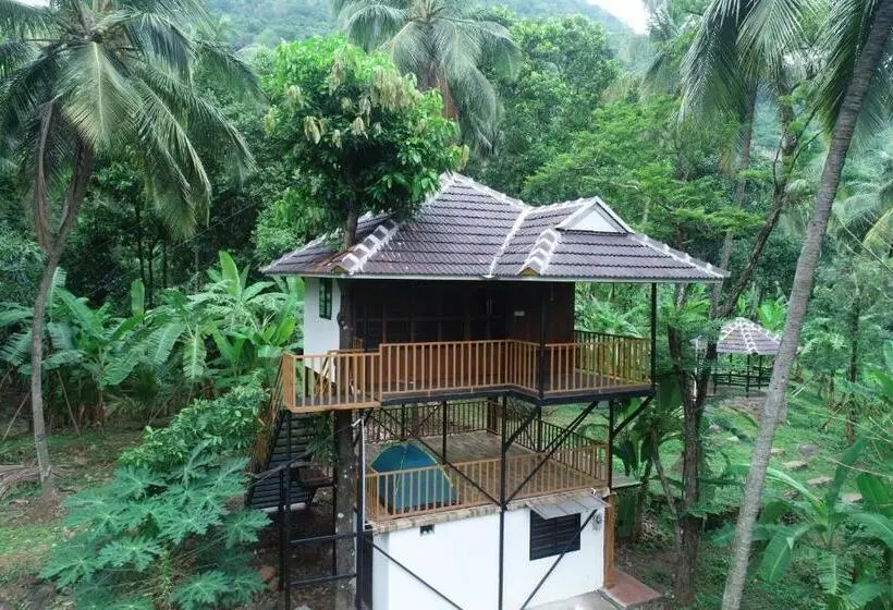 リゾートホテル The Tree Organic Farm And Stay Non Alcoholic Property