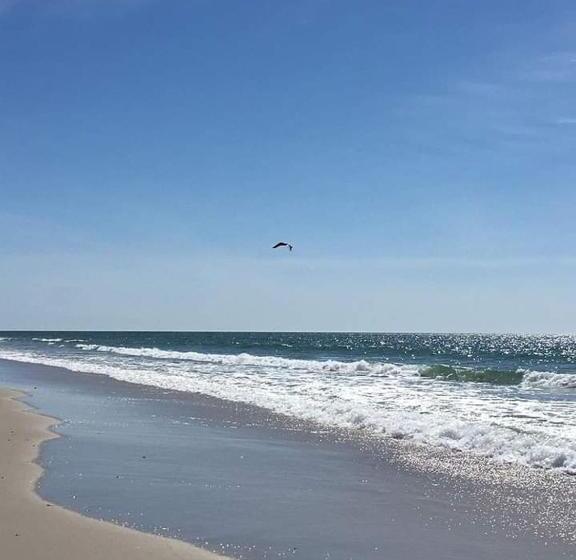Общежитие Pousada Recanto Beach House   Cabo Frio   Rj  Unamar  Cond Florestinha   1 Min A Pé Da Praia