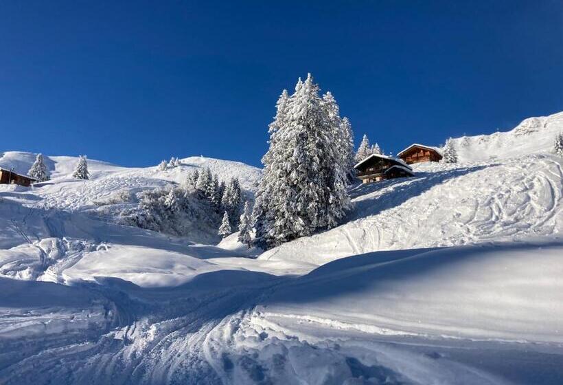 B&b Chalet Rey Bellet