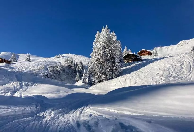 B&b Chalet Rey Bellet