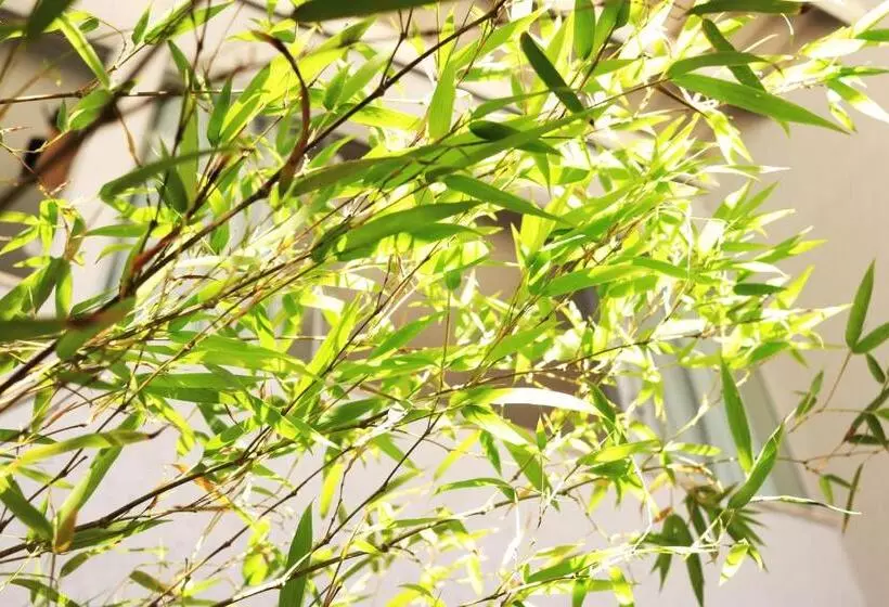 ベッドアンドブレックファースト Casa Lumen Home Hostel Lgbt