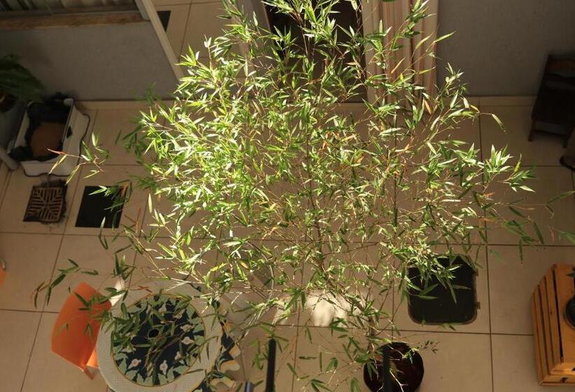 تختخواب و صبحانه Casa Lumen Home Hostel Lgbt