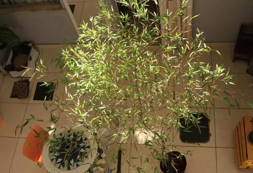 ベッドアンドブレックファースト Casa Lumen Home Hostel Lgbt