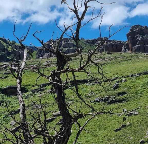 민박 Yellowwood Cottage