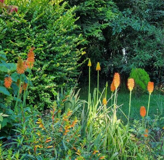 민박 Yellowwood Cottage