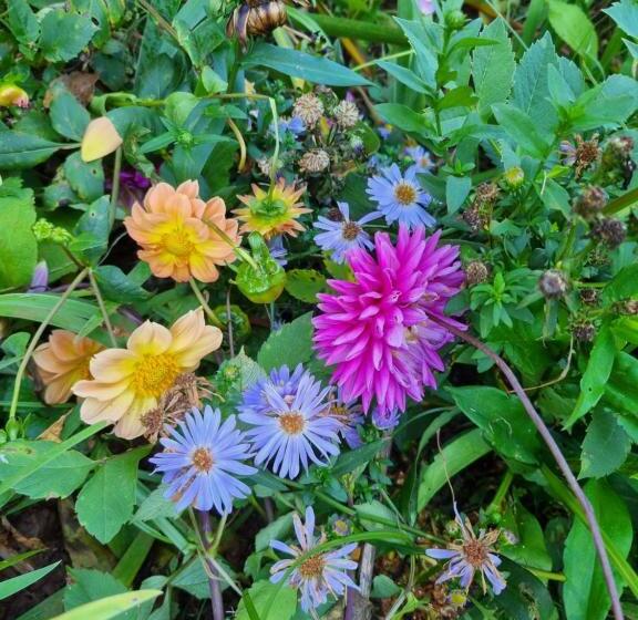 민박 Yellowwood Cottage