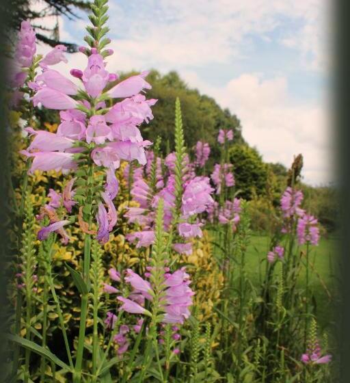 민박 Yellowwood Cottage